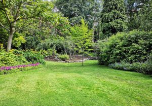 Optimiser l'expérience du jardin à Golancourt